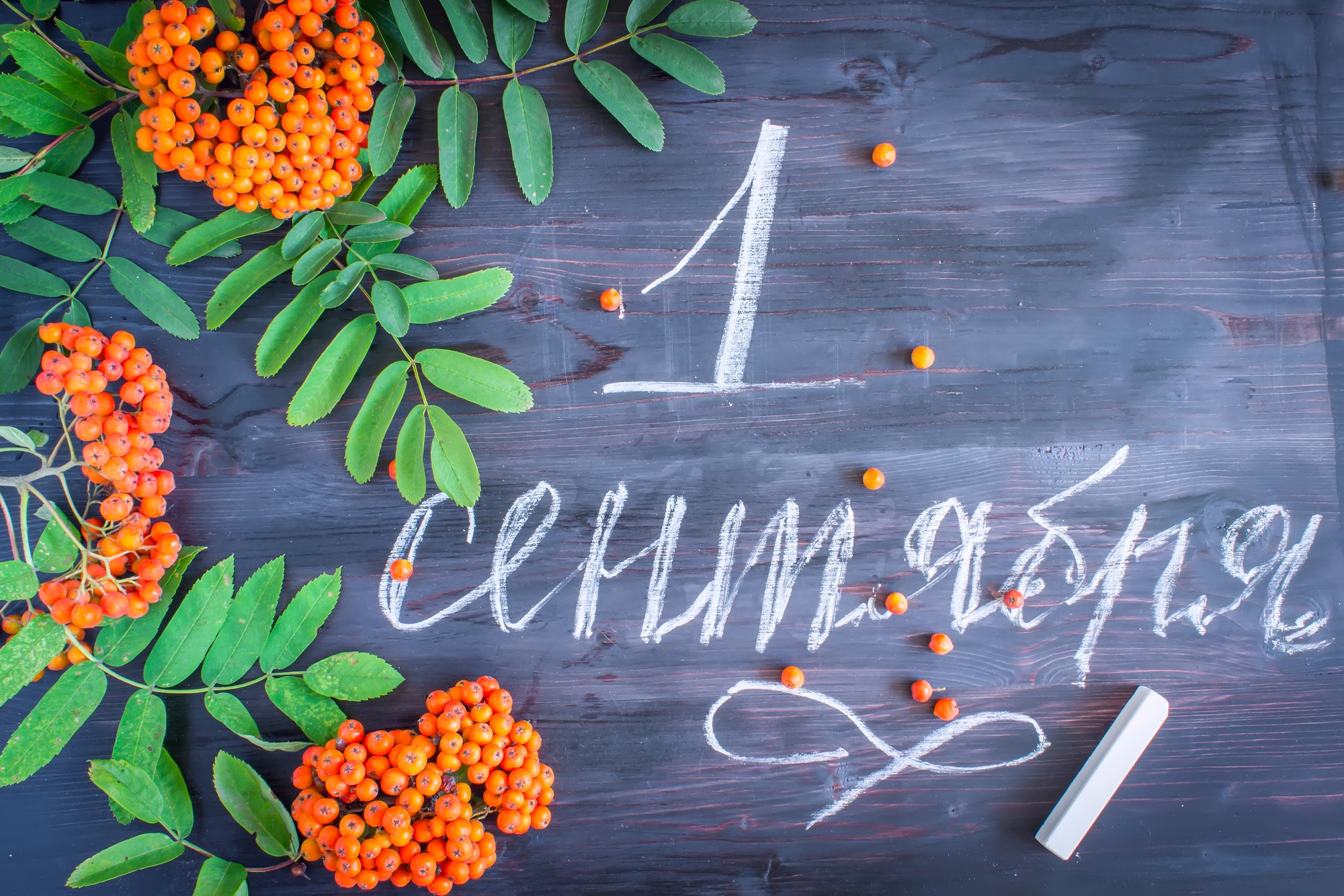 Дорогие наши студенты и преподаватели! 